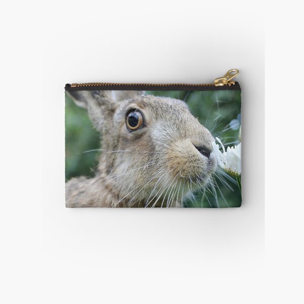 Item preview, Brownhare smelling a flower designed and sold by MorningFive.