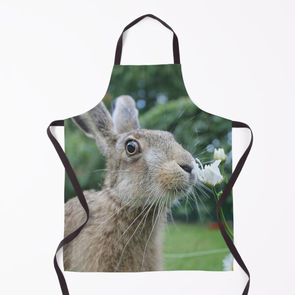 Item preview, Brownhare smelling a flower designed and sold by MorningFive.