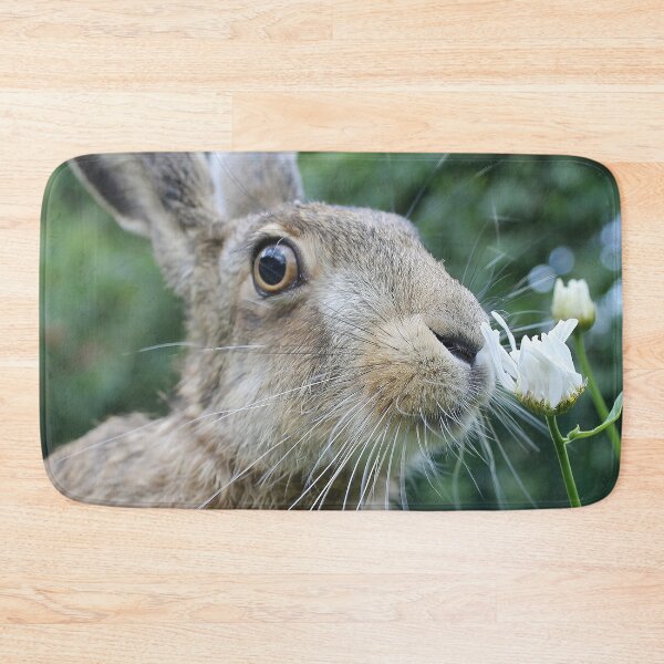 Item preview, Brownhare smelling a flower designed and sold by MorningFive.
