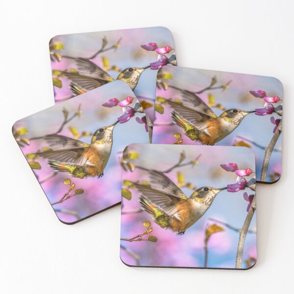 Item preview, A Flying Allen's Hummingbird Gathers Nectar from a Pink Redbud Bloom designed and sold by Wild DeZigns .