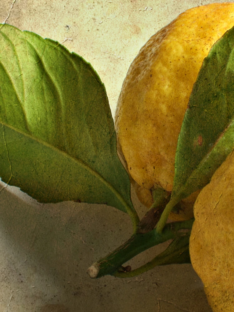 Thumbnail 4 of 4, iPhone Case, Lemons designed and sold by Rafael López.