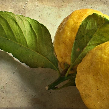 Artwork thumbnail, Lemons by Rafael López