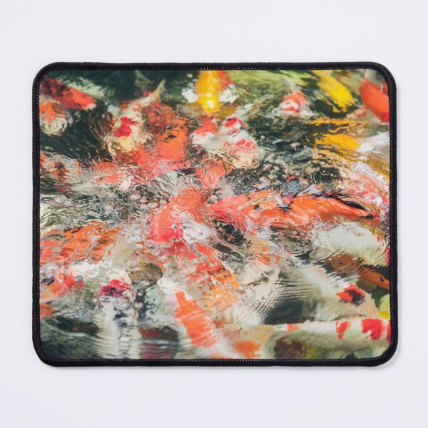 Item preview, Colorful Koi Fish Swimming and Splashing in Garden Pond designed and sold by LRPhotoart.