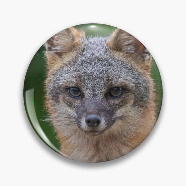 Item preview, Gray Fox in the Wild designed and sold by Wild DeZigns .