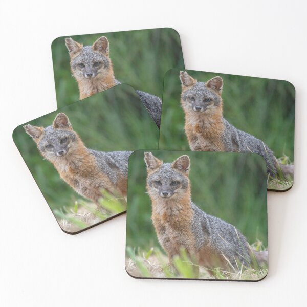 Item preview, Gray Fox in the Wild designed and sold by Wild DeZigns .