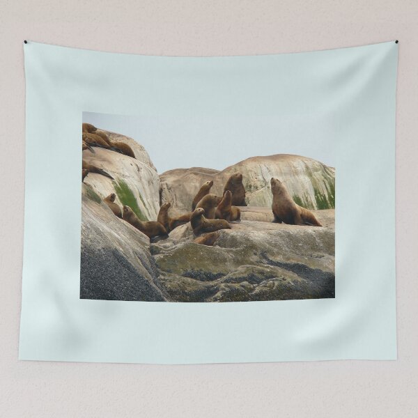 Item preview, Steller Sea Lions, Glacier Bay, Glacier Bay National Park, Southeast Alaska designed and sold by AlaskaExtreme.
