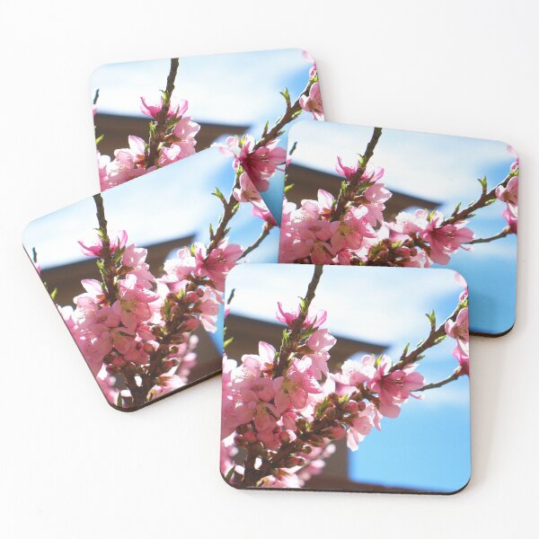 Item preview, Blushing Blossom Aesthetic designed and sold by PresMatPlays.