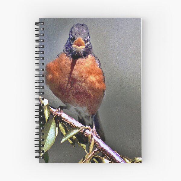 Item preview, ROCKIN ROBIN designed and sold by SKIP WILLITS FINE ART.