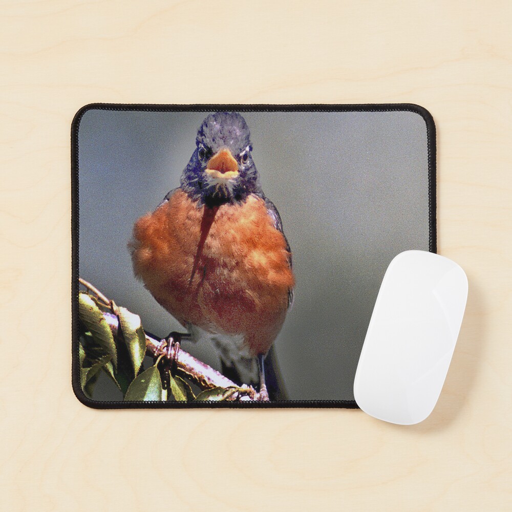 Item preview, Mouse Pad designed and sold by SkipWillits2.