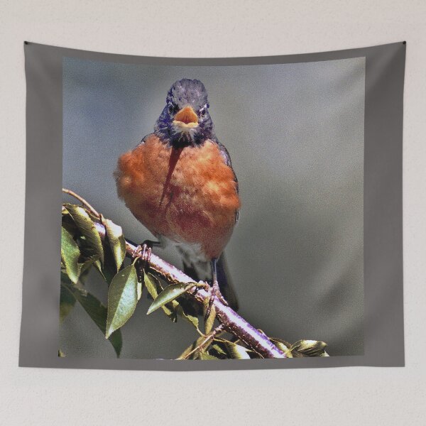Item preview, ROCKIN ROBIN designed and sold by SKIP WILLITS FINE ART.