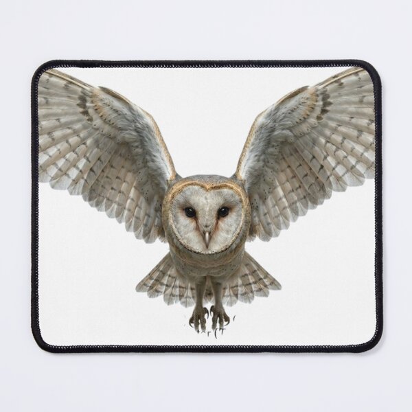 Item preview, Owl designed and sold by Jimhebbe.