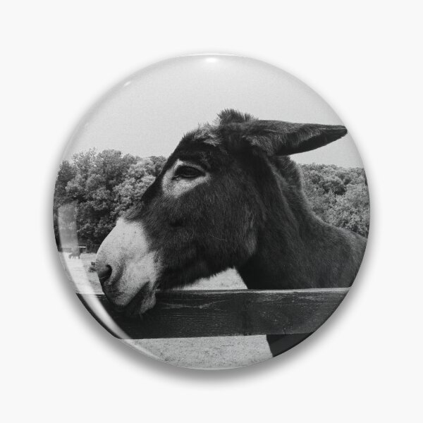 Item preview, Ennistymon donkey designed and sold by BarryMayfield.