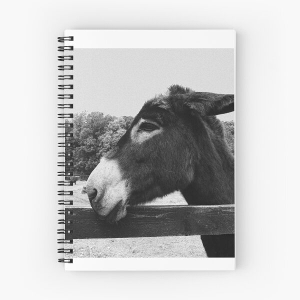 Item preview, Ennistymon donkey designed and sold by BarryMayfield.