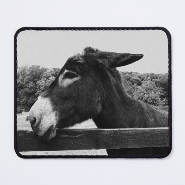 Item preview, Ennistymon donkey designed and sold by BarryMayfield.