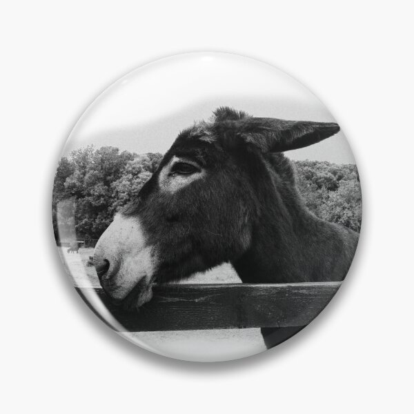 Item preview,  Ennistymon donkey soft edge designed and sold by BarryMayfield.