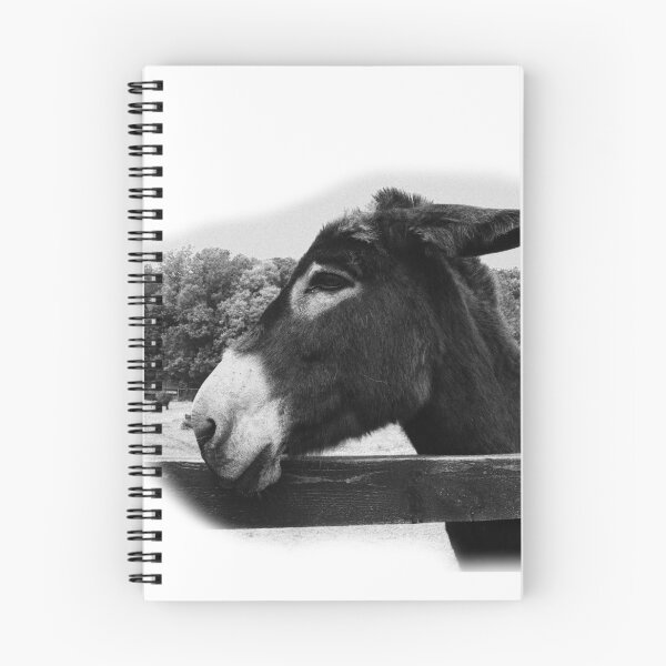 Item preview,  Ennistymon donkey soft edge designed and sold by BarryMayfield.