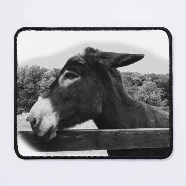 Item preview, Ennistymon donkey soft edge designed and sold by BarryMayfield.
