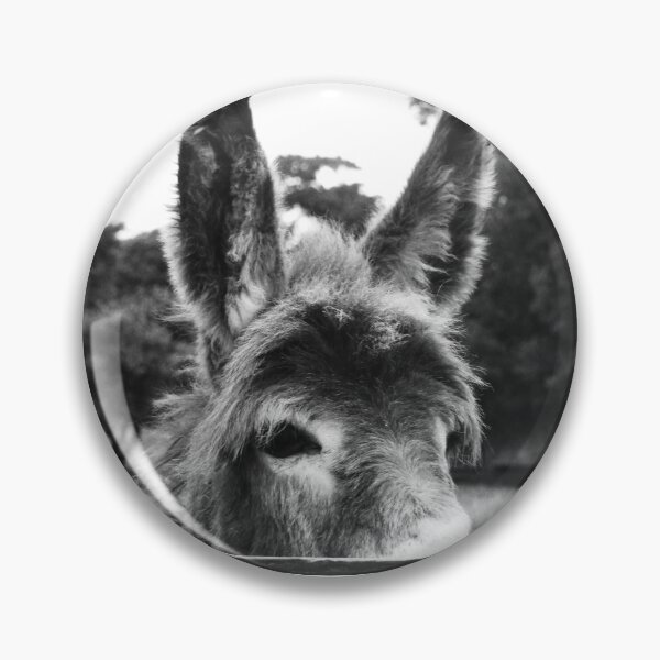 Item preview,   Ennistymon donkey peeking over fence designed and sold by BarryMayfield.
