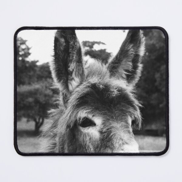 Item preview,   Ennistymon donkey peeking over fence designed and sold by BarryMayfield.