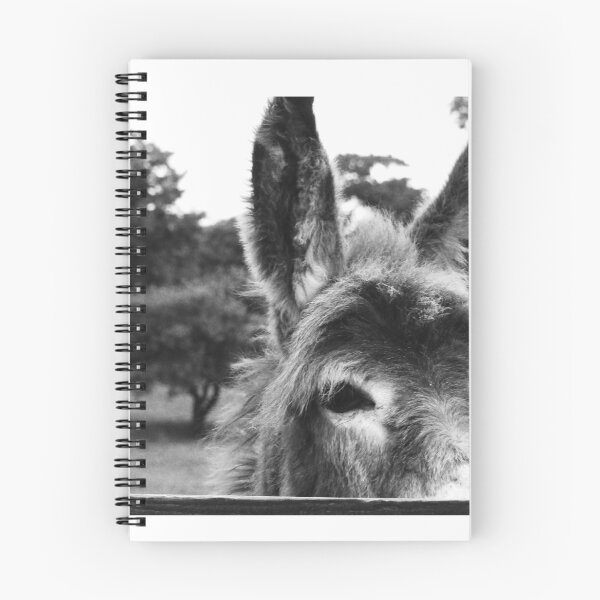 Item preview,   Ennistymon donkey peeking over fence designed and sold by BarryMayfield.