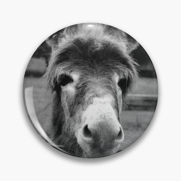 Item preview,  Ennistymon donkey looking over fence designed and sold by BarryMayfield.