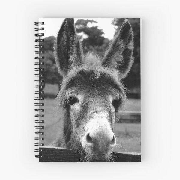 Item preview,  Ennistymon donkey looking over fence designed and sold by BarryMayfield.