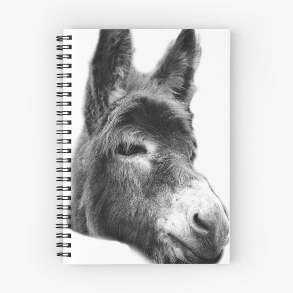 Item preview, suspicious donkey looking over fence isolated designed and sold by BarryMayfield.