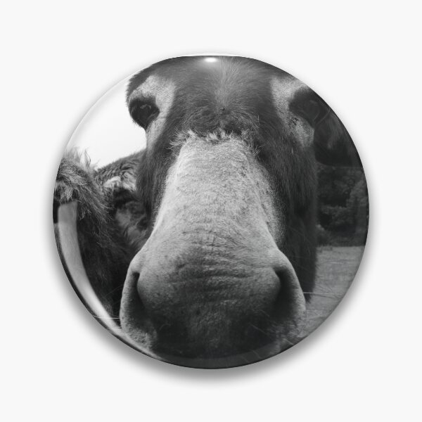 Item preview, Curious donkeys looking over fence  designed and sold by BarryMayfield.