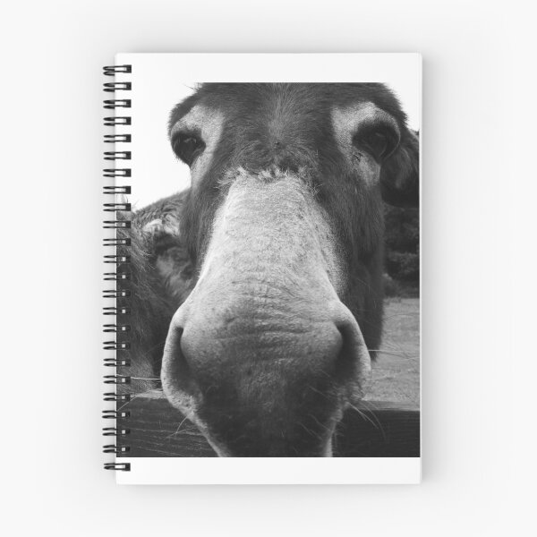 Item preview, Curious donkeys looking over fence  designed and sold by BarryMayfield.