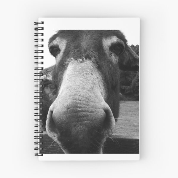 Item preview, Curious donkey looking over fence  designed and sold by BarryMayfield.