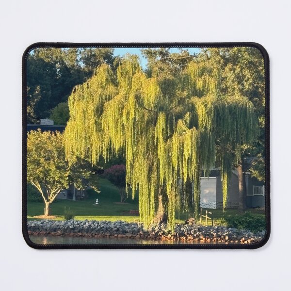Item preview, Weeping Willow designed and sold by artist-wanna-be.