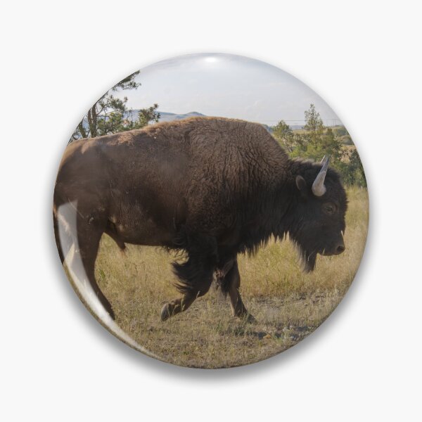 Item preview, American Bison in Field designed and sold by InlandStyle.