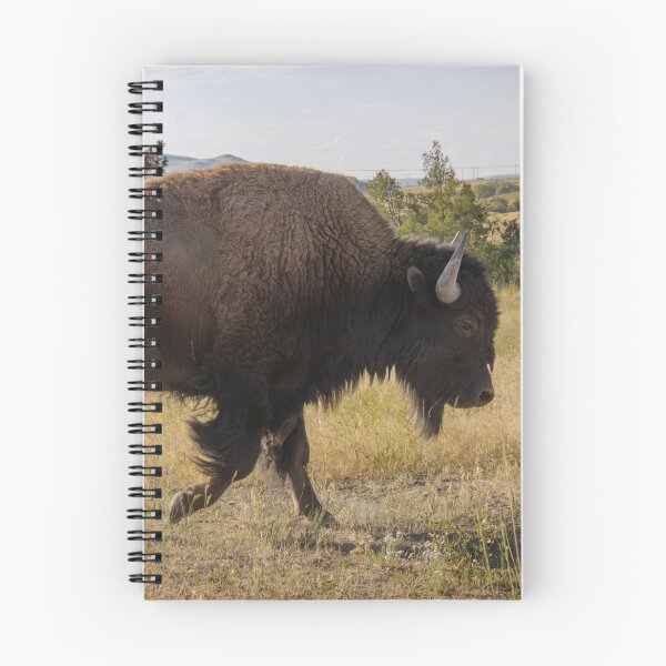 Item preview, American Bison in Field designed and sold by InlandStyle.