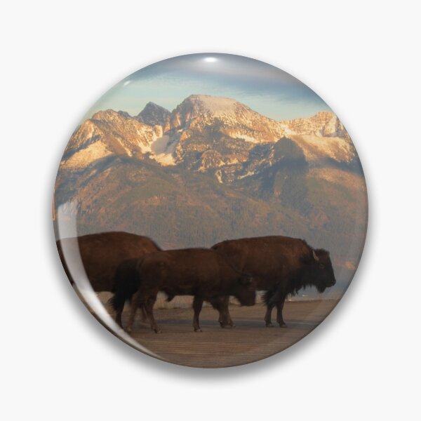 Item preview, Western Montana Traffic Jam designed and sold by InlandStyle.