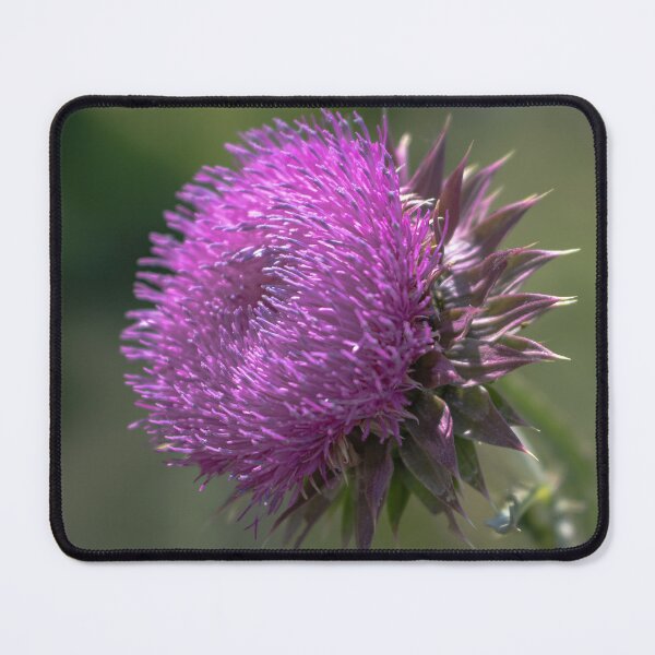 Item preview, Purple Thistle designed and sold by InlandStyle.