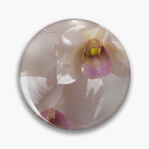 Item preview, White and pink orchid flower on blurred background designed and sold by Kevin Hellon.