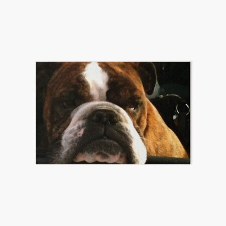 Dibble the Dog Art Board Print