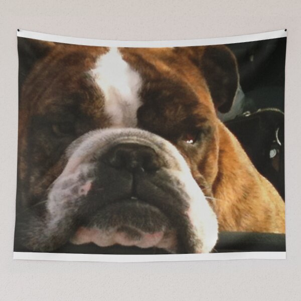 Item preview, Dibble the Dog designed and sold by Christine "Xine" Segalas.