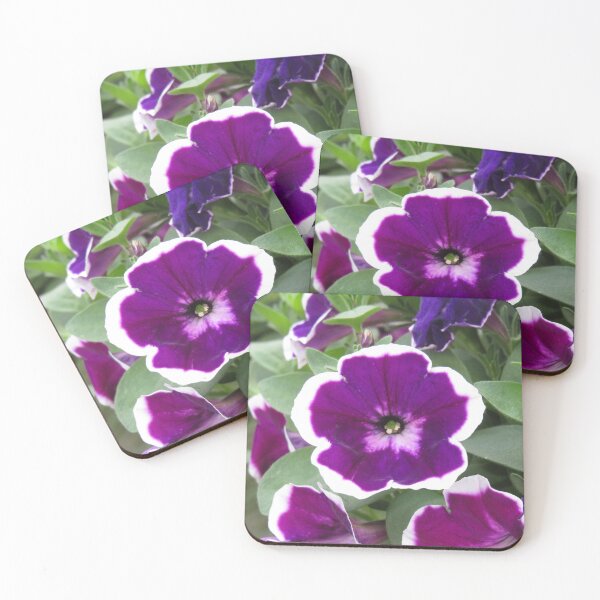 Item preview, Purple and white petunia designed and sold by greentiger1.
