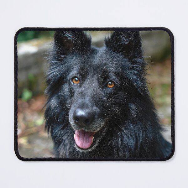 Item preview, Croatian Sheepdog designed and sold by Elisabeth Lucas.