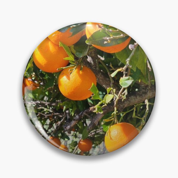 Item preview, Sunny Country Music Hall Of Fame aOrange Mood designed and sold by Mariflowers.