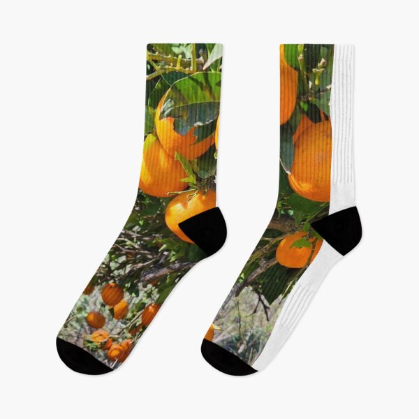 Item preview, Sunny Country Music Hall Of Fame aOrange Mood designed and sold by Mariflowers.