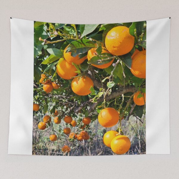 Item preview, Sunny Country Music Hall Of Fame aOrange Mood designed and sold by Mariflowers.