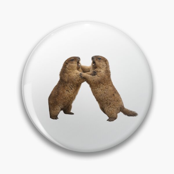 Item preview, Fighting Marmots — Funny Wildlife Brawl Art designed and sold by AnotherMarmot.