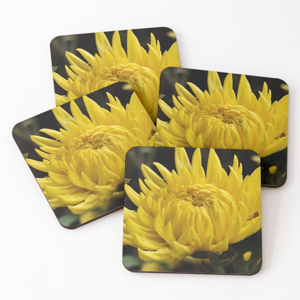 Item preview, Beautiful Yellow Blossom Flower Home Garden Digital Photography Art designed and sold by vtspatial.