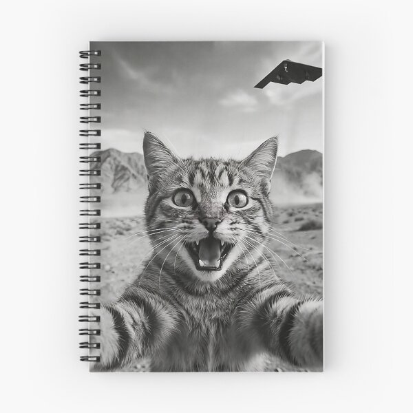 Artikelvorschau, Lustiges Katzen-Selfie mit Stealth-Bomber-UFO (Vintage-Meme) entworfen und verkauft von mai-risingpath.
