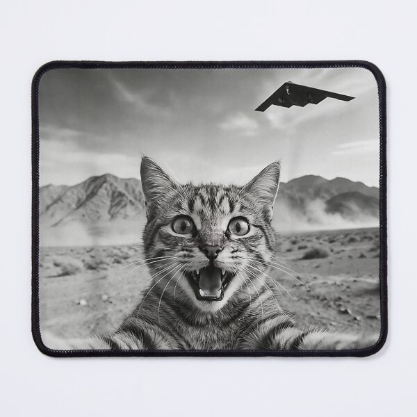 Item preview, Funny Cat Selfie With Stealth Bomber UFO Vintage Meme  designed and sold by mai-risingpath.