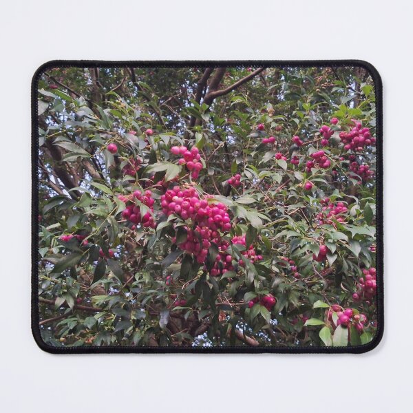 Item preview, Lilly pilly berries designed and sold by Luminous-Moon.