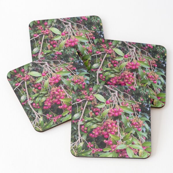 Item preview, Lilly pilly berries 2 designed and sold by Luminous-Moon.