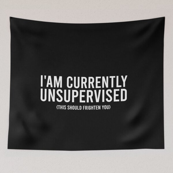 Item preview, I'am Currently Unsupervised This Should Frighten You designed and sold by malicaferrha.